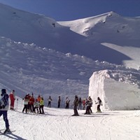 FOTO LE POLLE